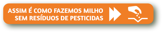 Así hacemos el maíz sin residuos de pesticidas