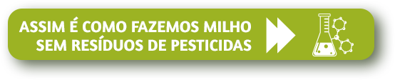 Así hacemos el maíz sin residuos de pesticidas