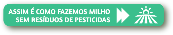 Así hacemos el maíz sin residuos de pesticidas